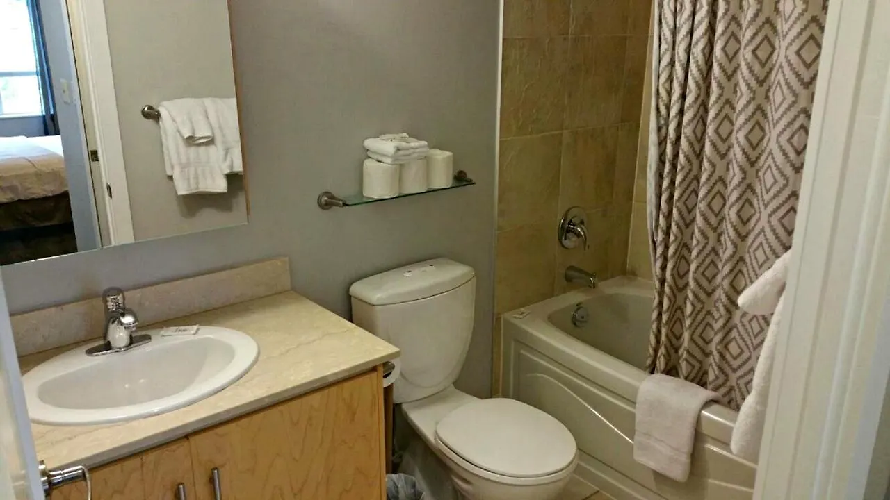 Blue Jays Aparment Apartment Toronto Canada